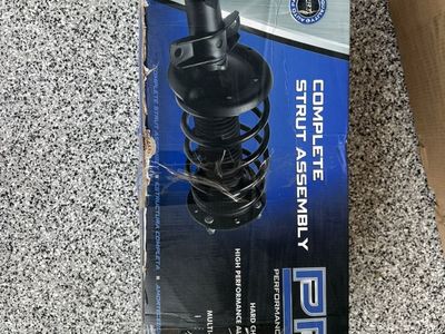 Complete Strut Assembly