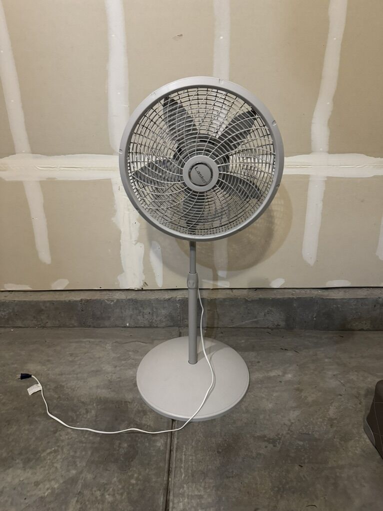 Fan