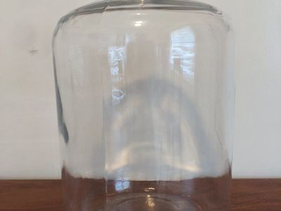 7 gallon vintage carboy!