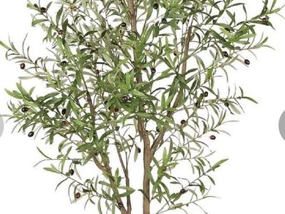 New! 7 Foot Lifelike Faux Olive Tree with Olives - Perfect for Home Decor, Plant In Black Pot
