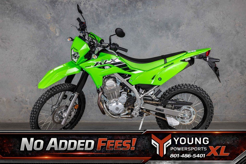 2025 Kawasaki KLX®230 S