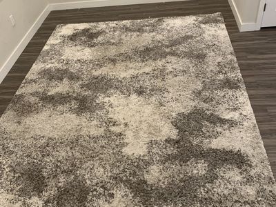 Area Rug — 8x10, Gray & White Abstract Shag