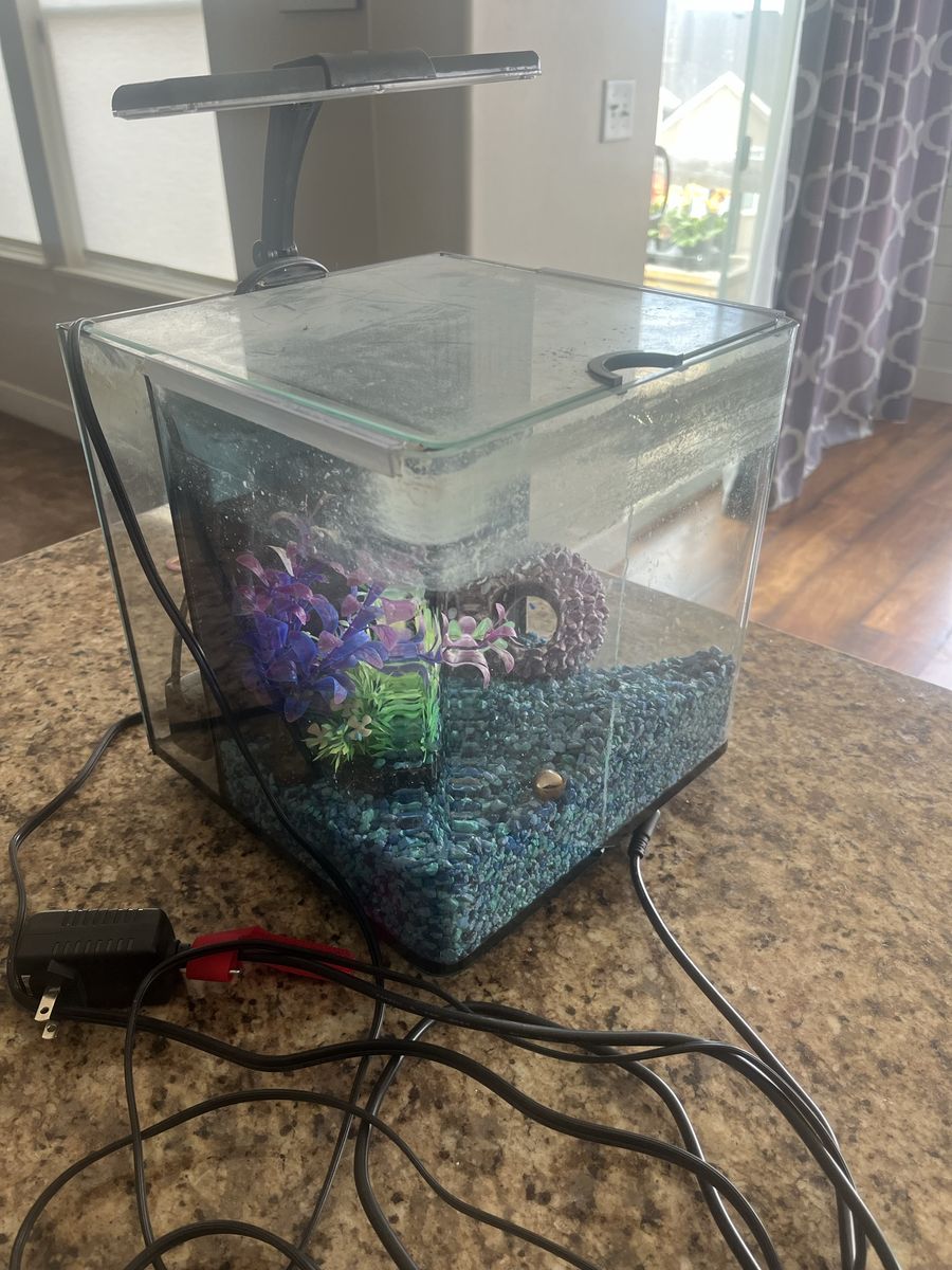 Imaginarium fish tank