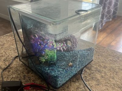Imaginarium fish tank