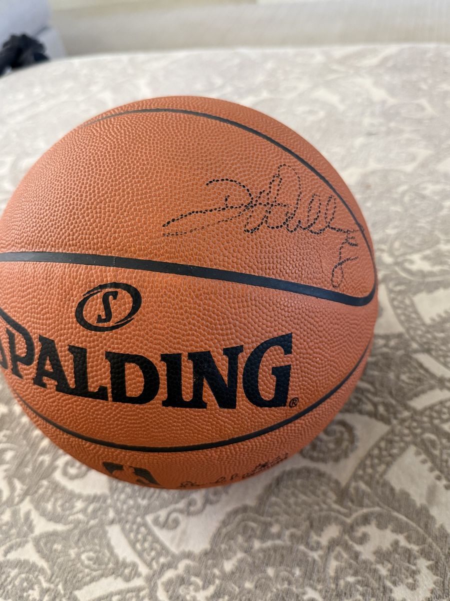 Spalding Official NBA Game Ball Basketball with Signature (Signed by Daron Williams/Utah Jazz)