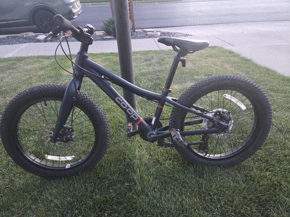 Co-op Cycles REV 20" 6-Speed Kid Bike