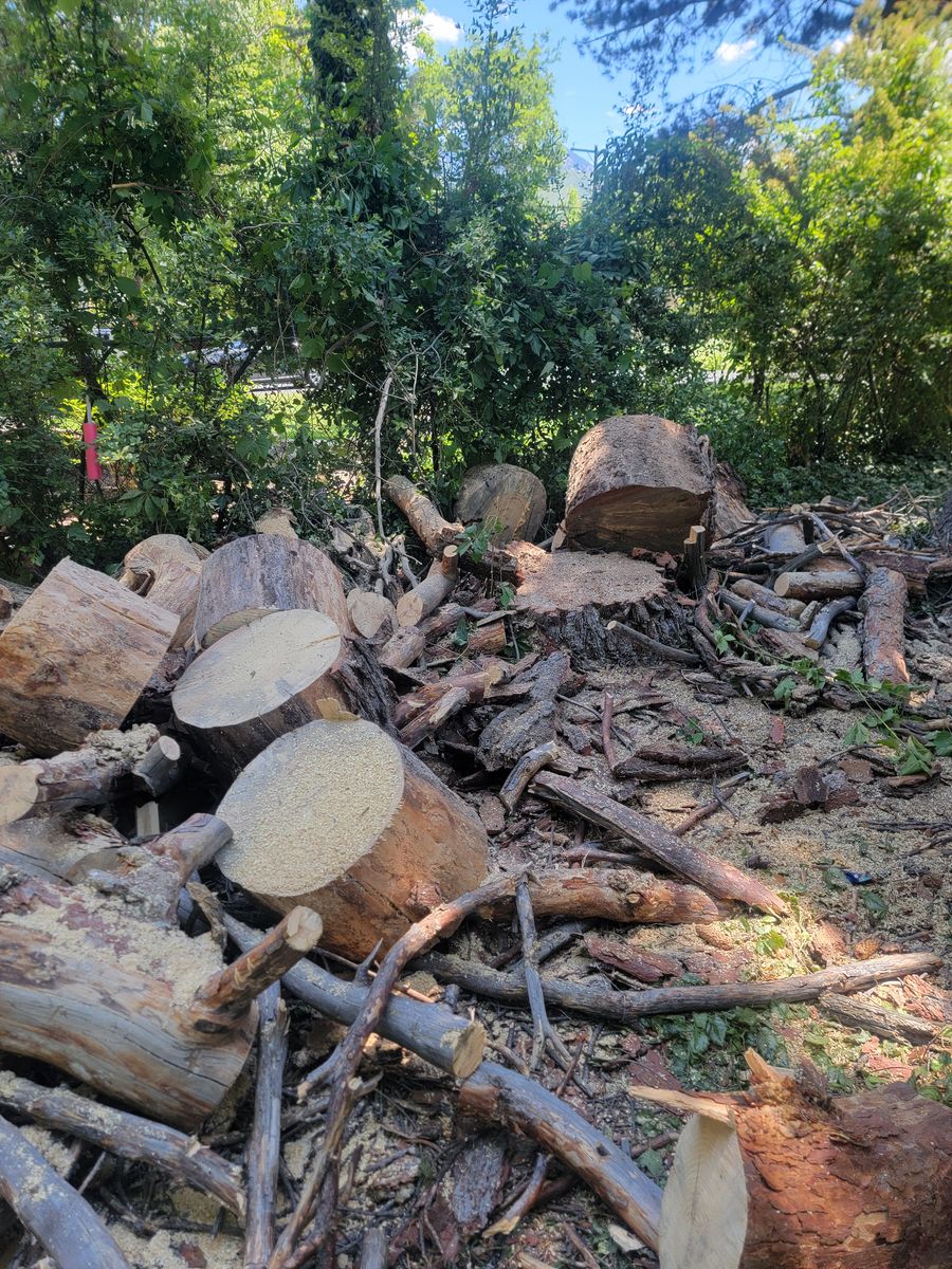 Main image 4