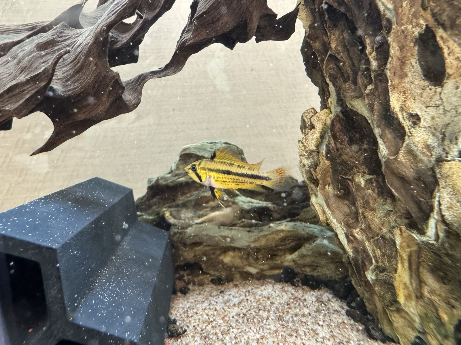 Main image 2