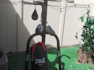 EVERLAST PUNCHING BAG + SPEED BAG + STAND