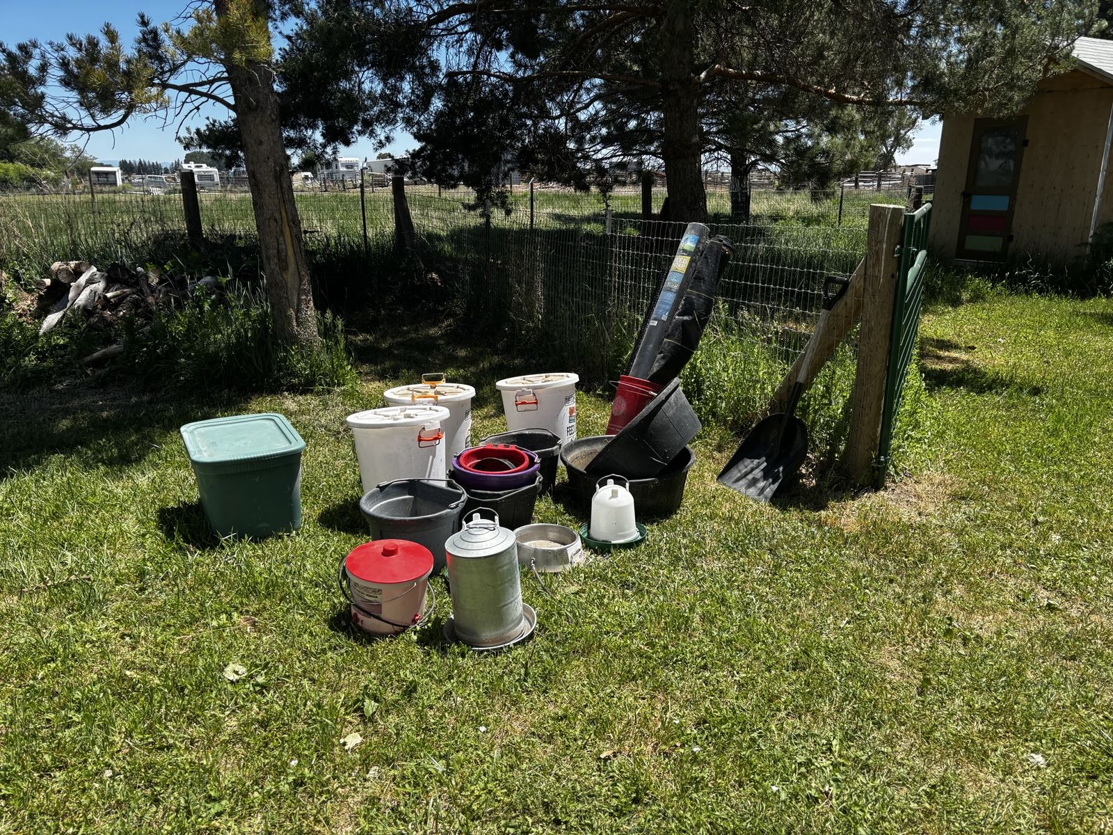Main image 11