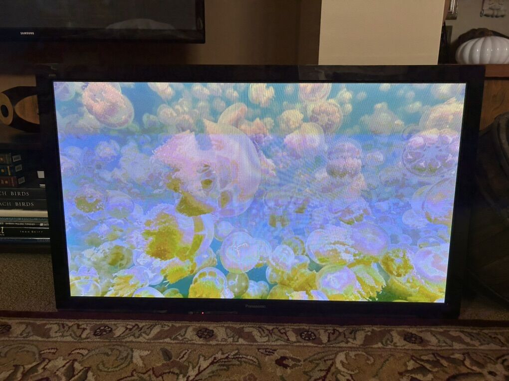 Panasonic Plasma Tv