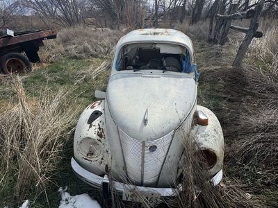 Farm full of non running cars