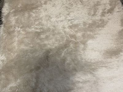 Safavieh Paris Shag Ivory 4x6 Area Rug