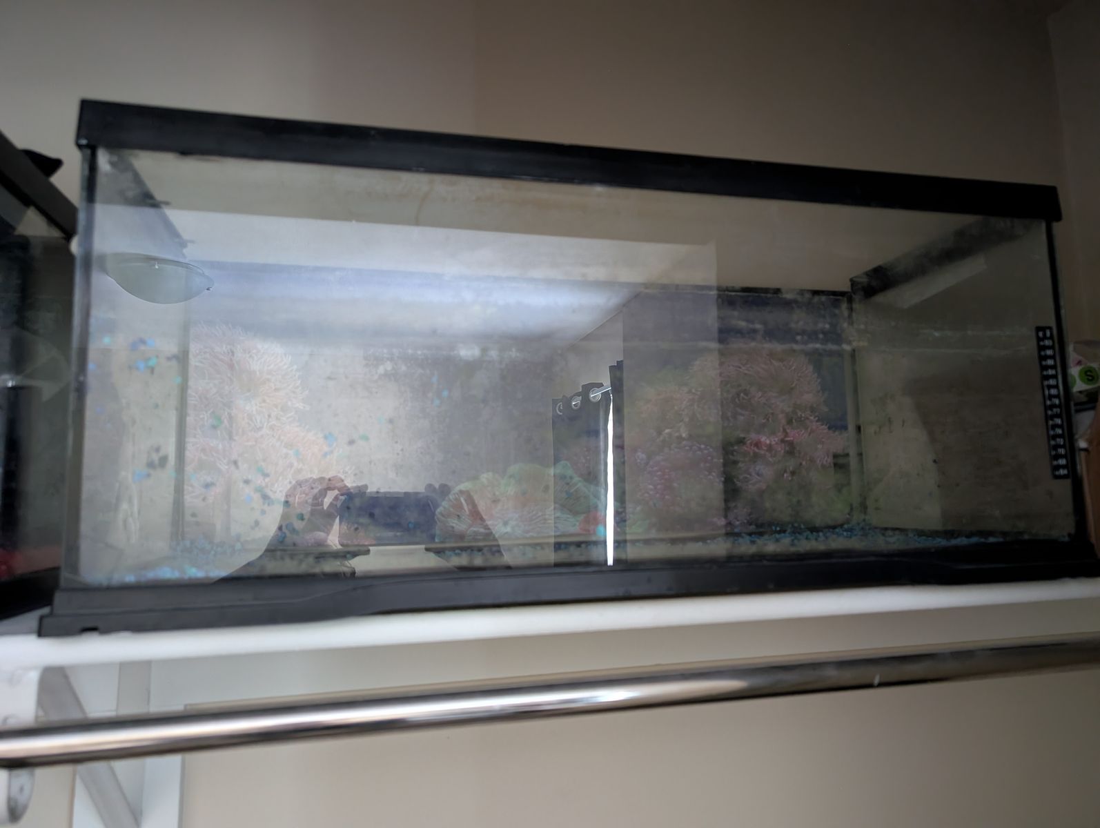 Fish tank