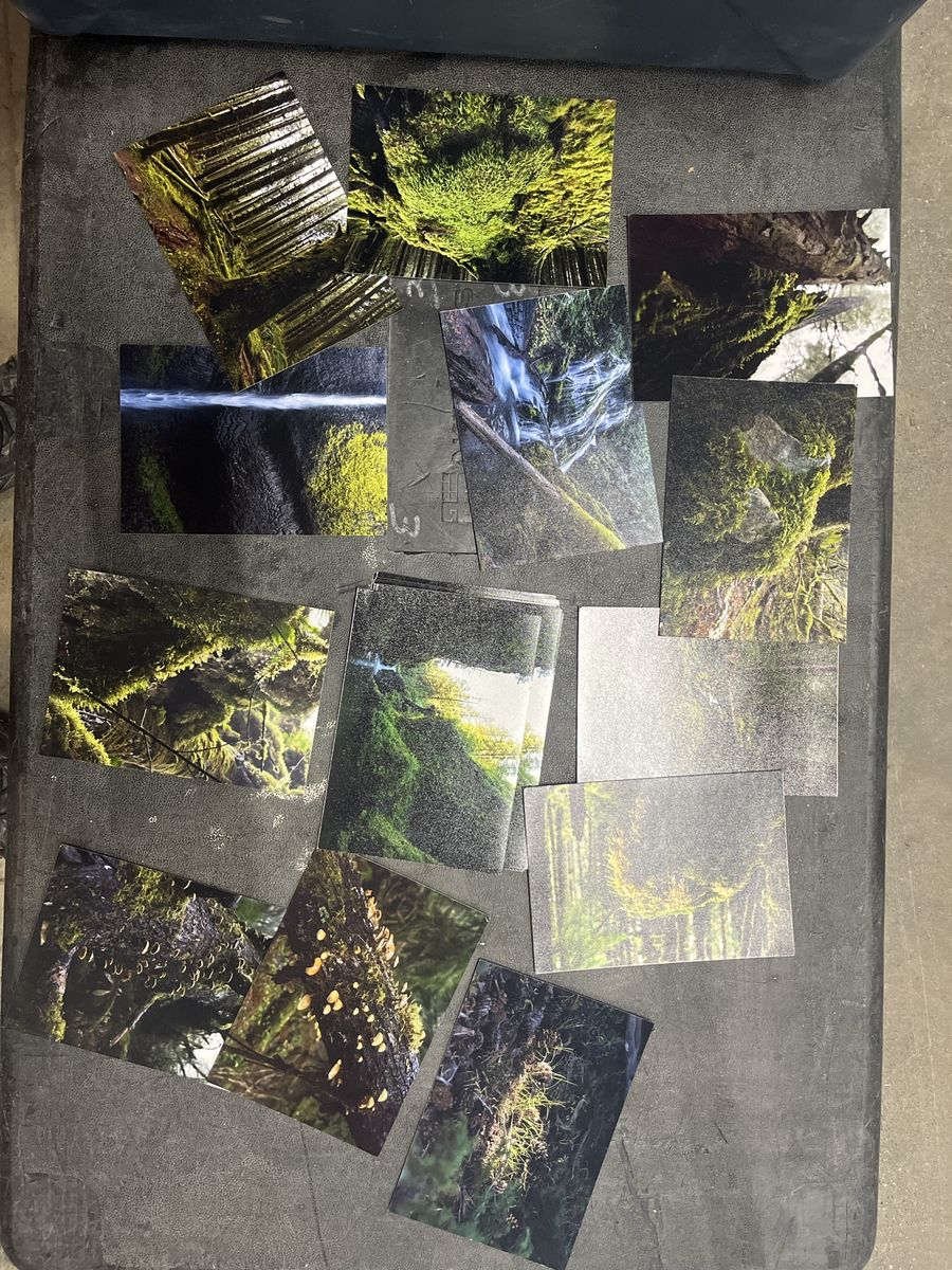 Lot of 13 Oregon/Washington Nature/Forest Mossy Waterfall Art Prints/Photos - 5x7 Unframed