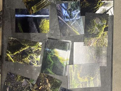 Lot of 13 Oregon/Washington Nature/Forest Mossy Waterfall Art Prints/Photos - 5x7 Unframed