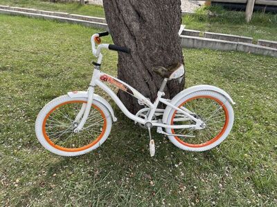 Kids Bike 20 Inch Wheels