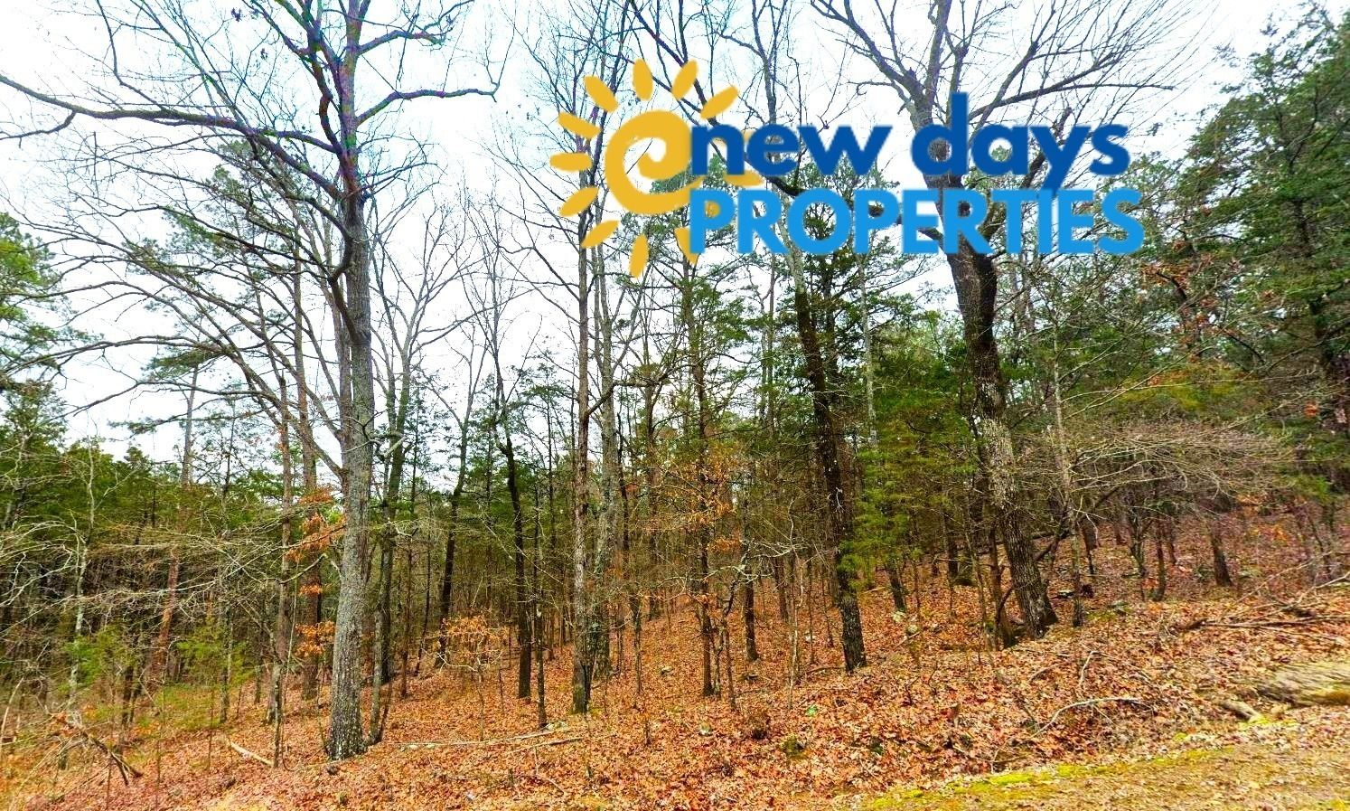 0.30-Acre Treed Land for Sale in Mountain View Arkansas