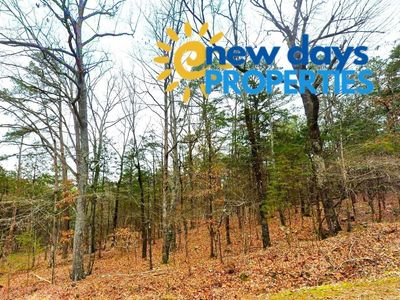 0.30-Acre Treed Land for Sale in Mountain View Arkansas