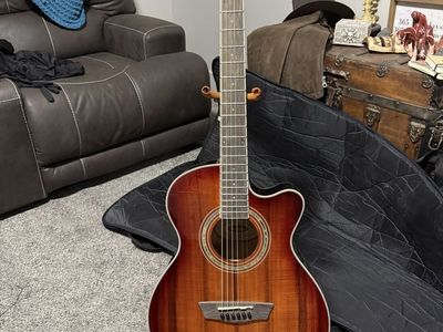 Washburn EA55G-A Electric Acoustic Guitar