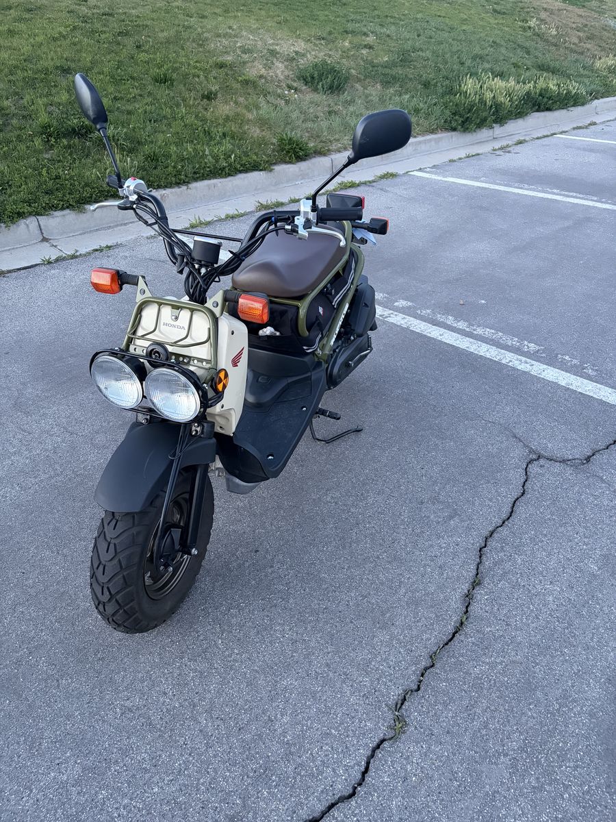 2024 Honda Ruckus