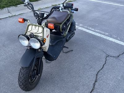 2024 Honda Ruckus