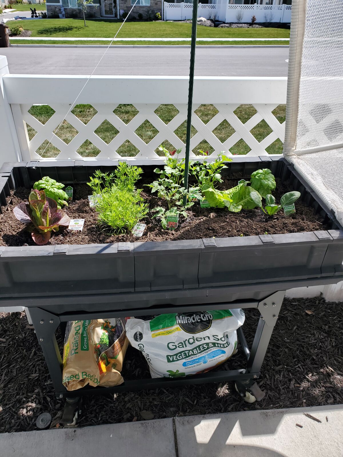Raised Planter on wheels!