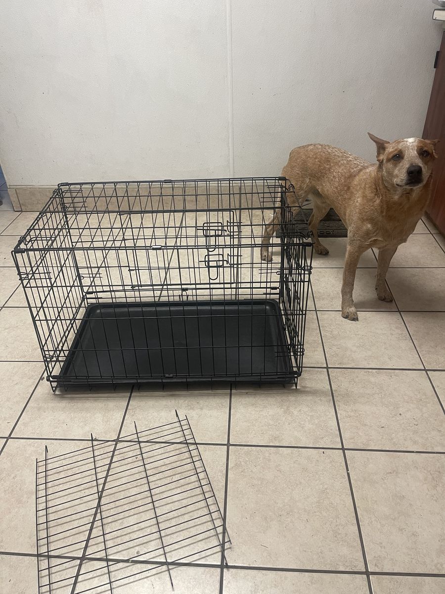 Metal dog crate