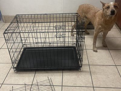 Metal dog crate