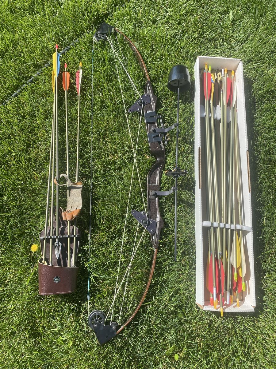 Vintage Bear Archery Compound Bow
