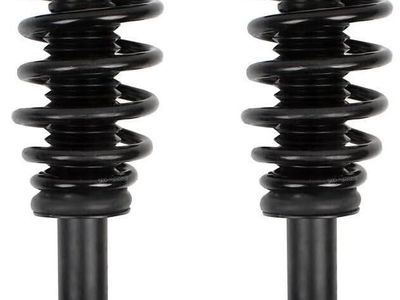 Front Strut Assemblies (2-Left & Right)
