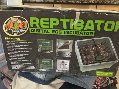 reptile egg Incubator