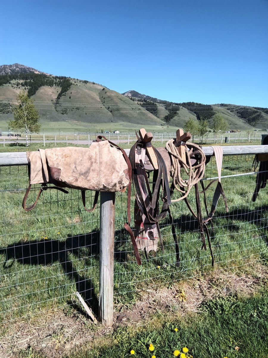 Packsaddle