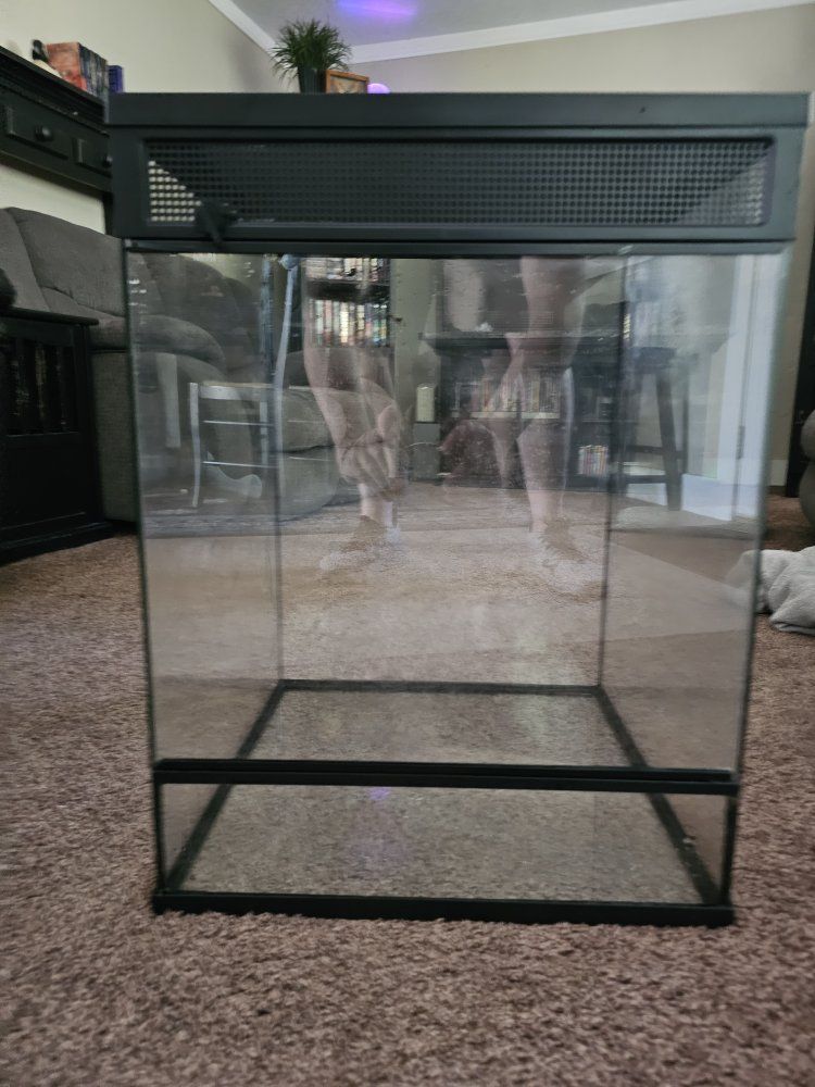 Thrive 24" x 18" x 18" Glass terrarium