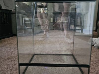 Thrive 24" x 18" x 18" Glass terrarium