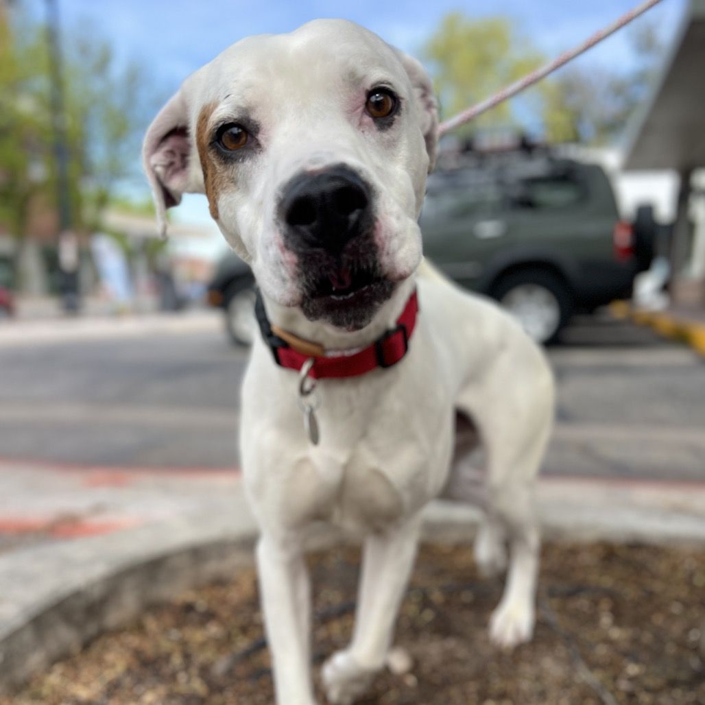 Hello my name is Olaf