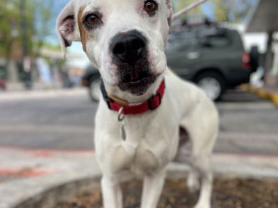 Hello my name is Olaf