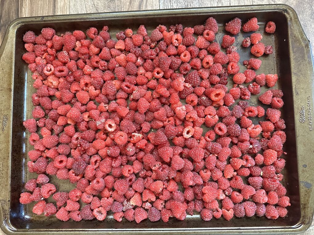 FROZEN RASPBERRIES