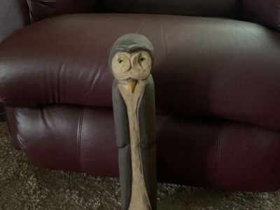 Wood Owl