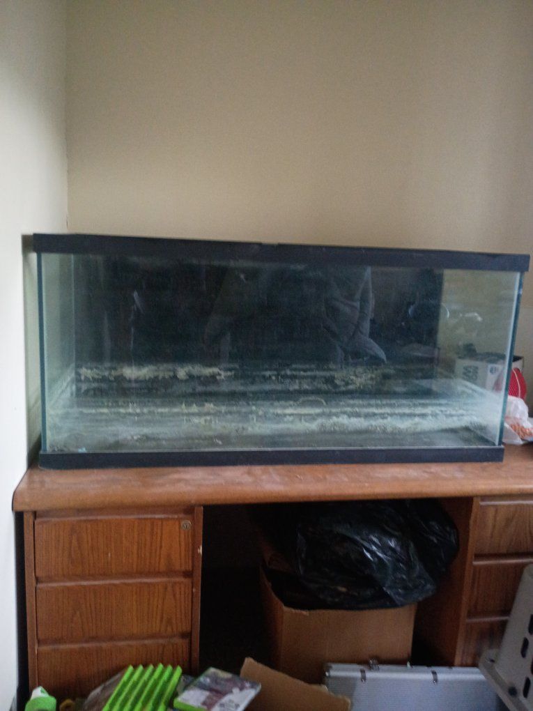 Large Glass Aquarium Fish Tank - Needs Cleaning