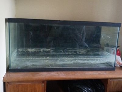 Large Glass Aquarium Fish Tank - Needs Cleaning