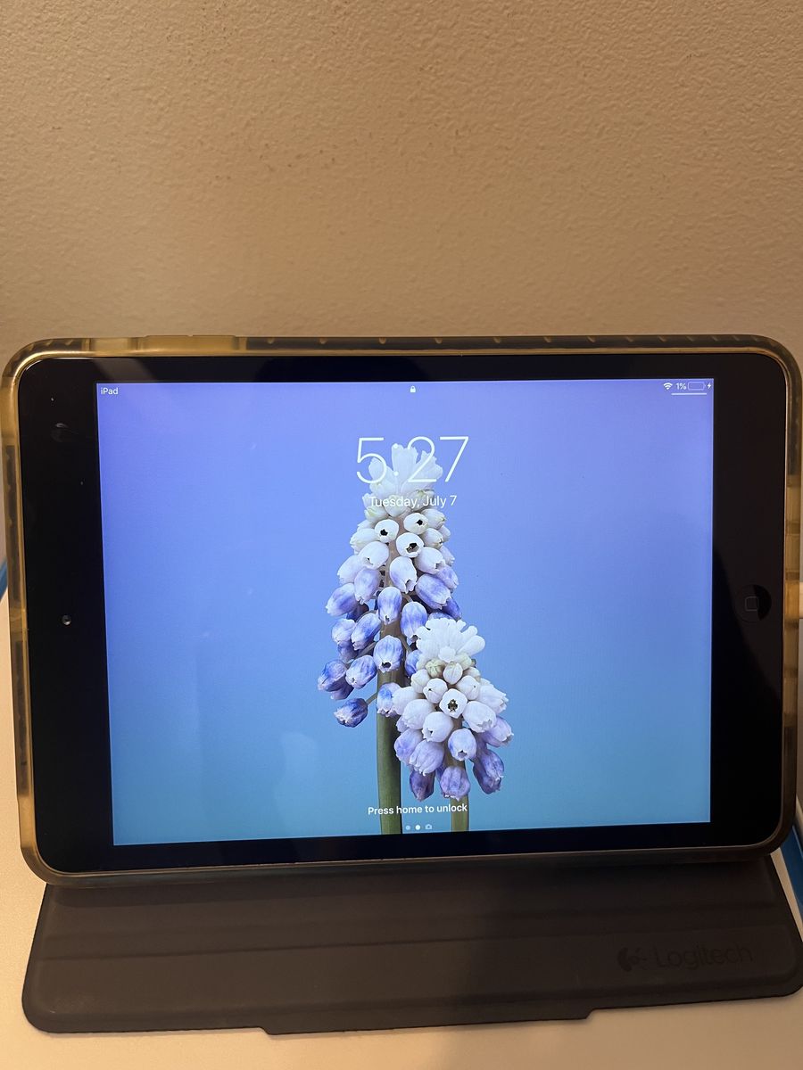 iPad mini 2; 16GB capacity; software 12.5.7; Logitech case included