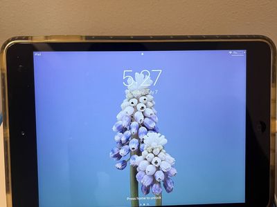iPad mini 2; 16GB capacity; software 12.5.7; Logitech case included