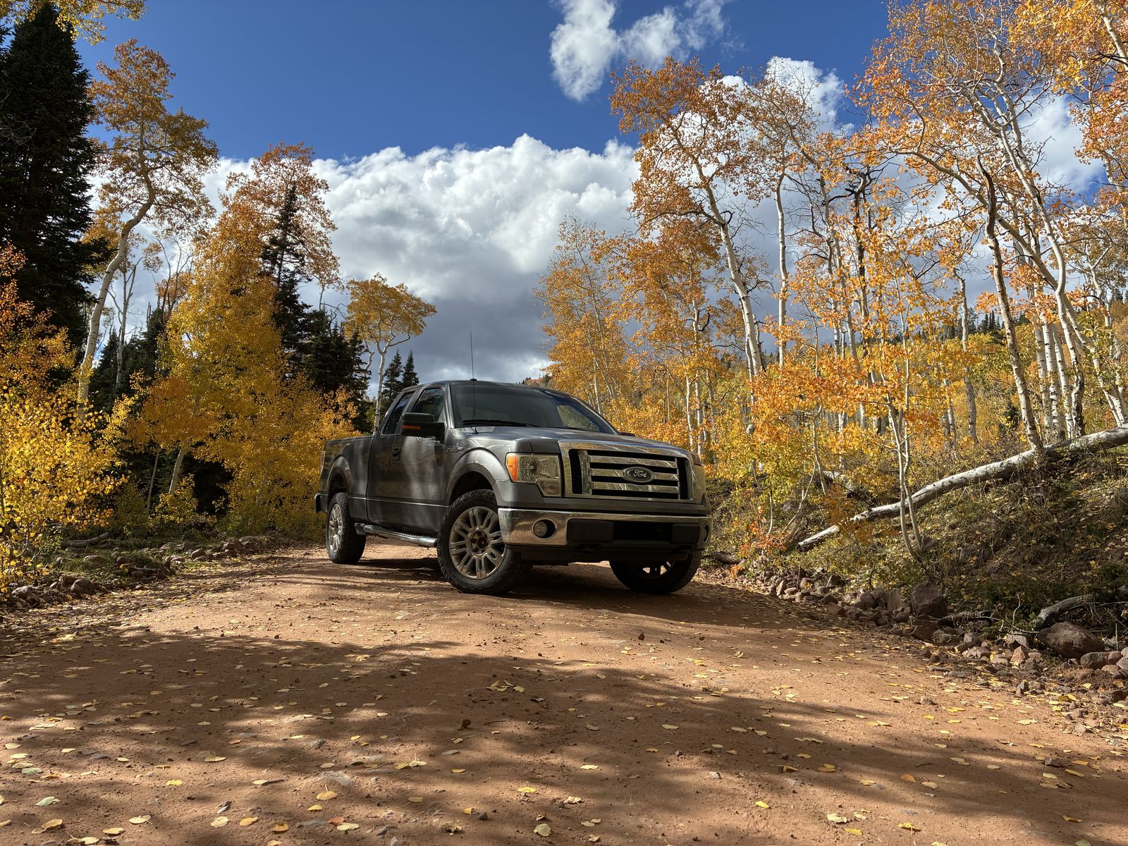 2009 FORD F150 XLT