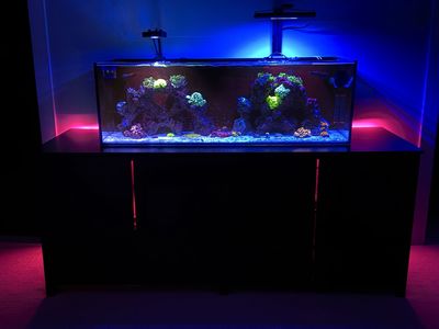 Tideline 62