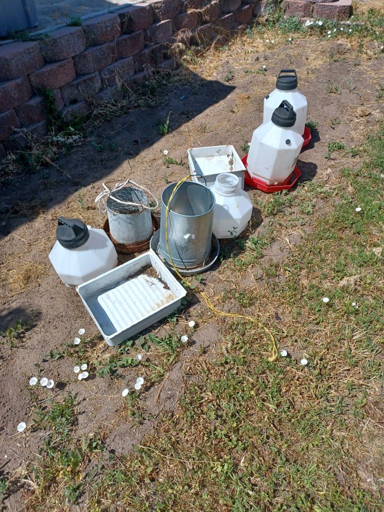 Poultry Feeders and Waterers and Nesting boxes
