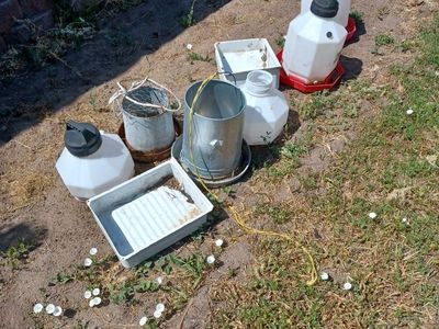 Poultry Feeders and Waterers and Nesting boxes