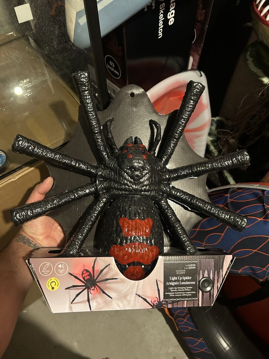 Halloween spider