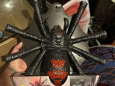 Halloween spider
