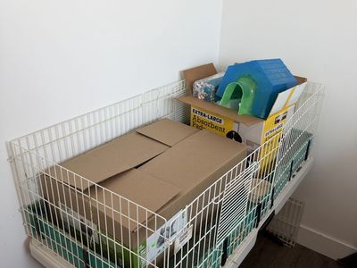 FREE MidWest Guinea Habitat Enclosure with Accessories